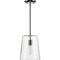 Progress Lighting Clarion Collection Polished Nickel One-Light Small Pendant P500241-104 - alternate 3